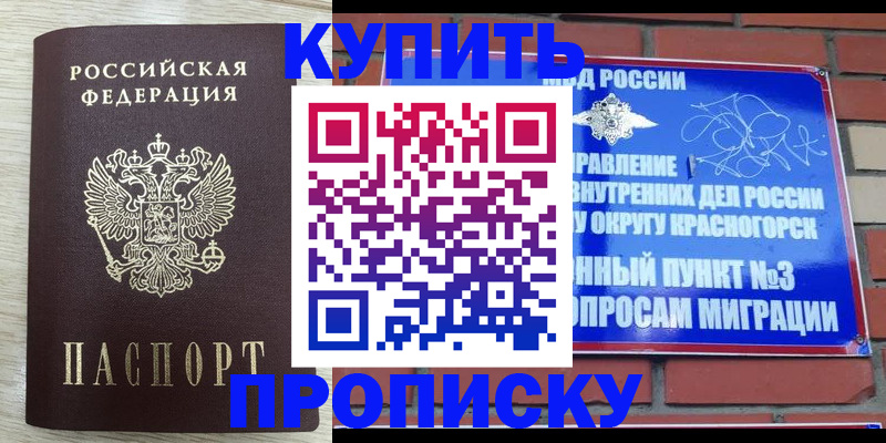 прописка гарантия в Михайловске